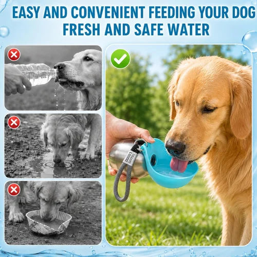 Portable Dog Water Bottle with Built-In Bowl